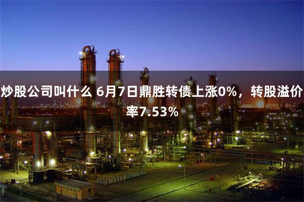 炒股公司叫什么 6月7日鼎胜转债上涨0%，转股溢价率7.53%