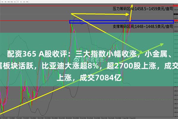 配资365 A股收评：三大指数小幅收涨，小金属、有色金属板块活跃，比亚迪大涨超8%，超2700股上涨，成交7084亿