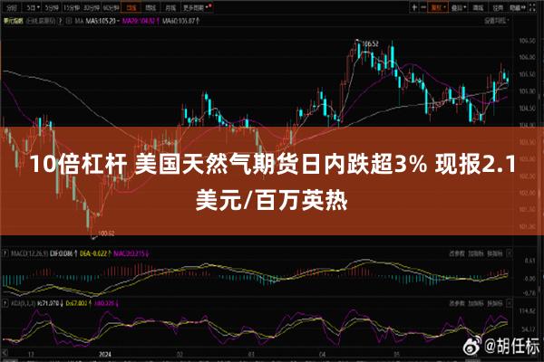 10倍杠杆 美国天然气期货日内跌超3% 现报2.1美元/百万英热