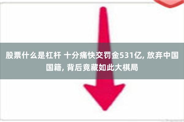 股票什么是杠杆 十分痛快交罚金531亿, 放弃中国国籍, 背后竟藏如此大棋局