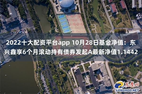 2022十大配资平台app 10月28日基金净值：东兴鑫享6个月滚动持有债券发起A最新净值1.1442