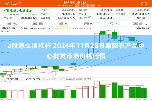 a股怎么加杠杆 2024年11月28日阜阳农产品中心批发市场价格行情