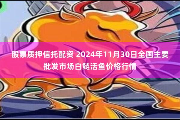 股票质押信托配资 2024年11月30日全国主要批发市场白鲢活鱼价格行情