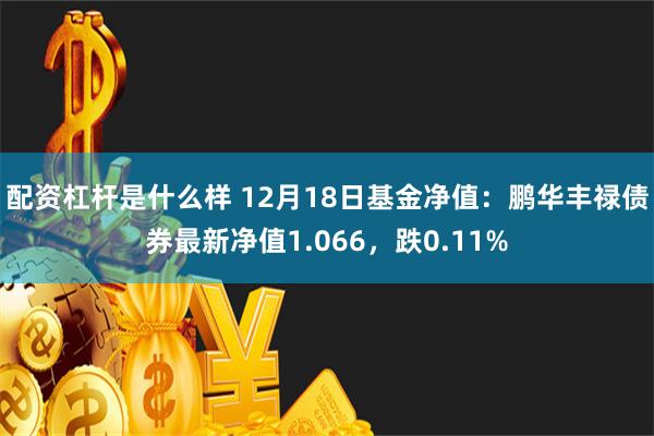 配资杠杆是什么样 12月18日基金净值：鹏华丰禄债券最新净值1.066，跌0.11%