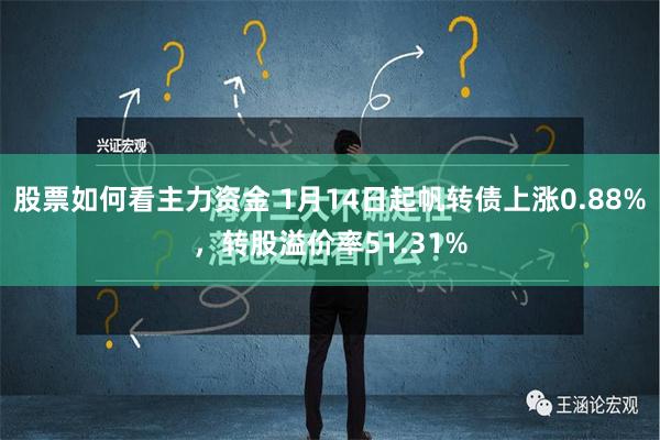 股票如何看主力资金 1月14日起帆转债上涨0.88%，转股溢价率51.31%