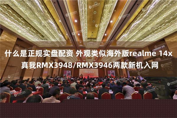 什么是正规实盘配资 外观类似海外版realme 14x 真我RMX3948/RMX3946两款新机入网