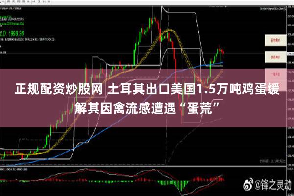 正规配资炒股网 土耳其出口美国1.5万吨鸡蛋缓解其因禽流感遭遇“蛋荒”